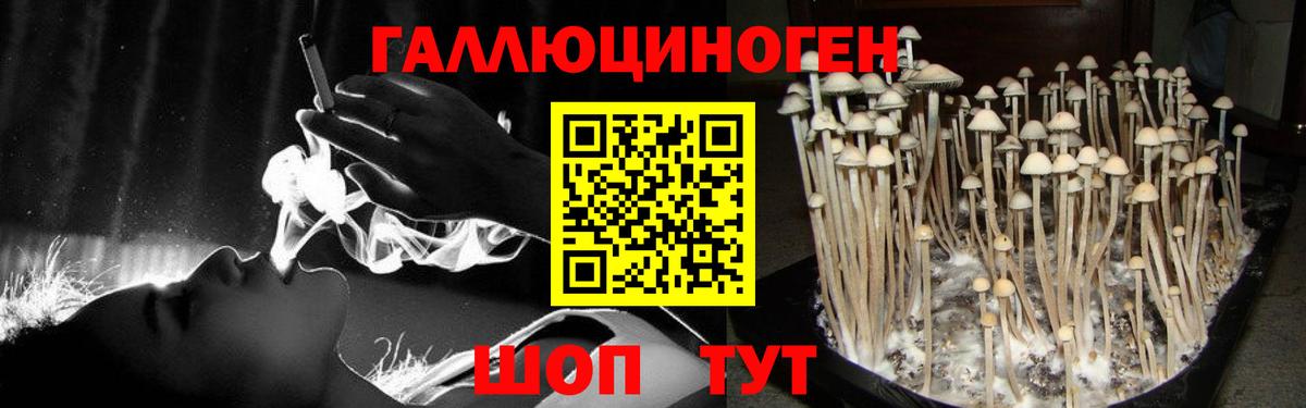 Саратов  Псилоцибиновые грибы ЛСД  Вход с VPN 